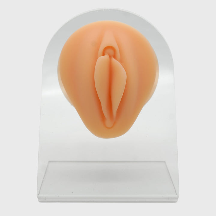 Silicone Body Parts - Station Prep. & Barriers - Mithra Tattoo Supplies Canada